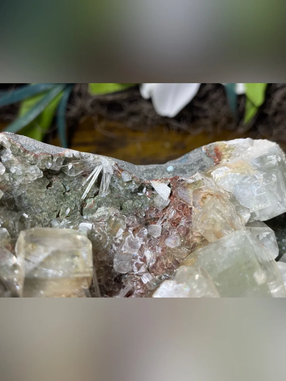 Green Apophyllite With Red Vanadinite On Matrix